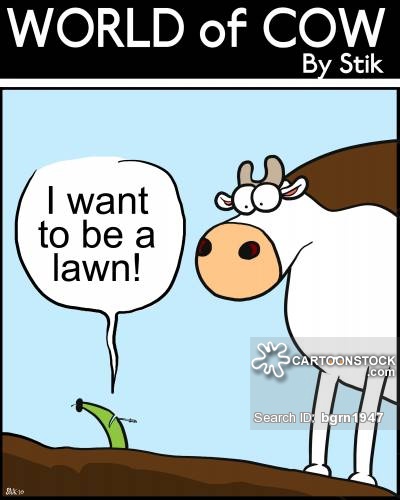 I want to be a lawn!