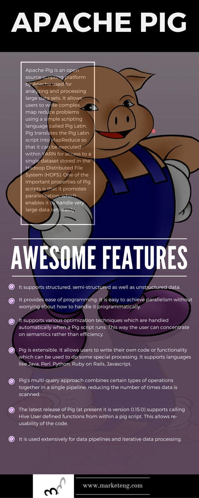 infographic_apache pig.jpg